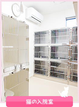 猫の入院室