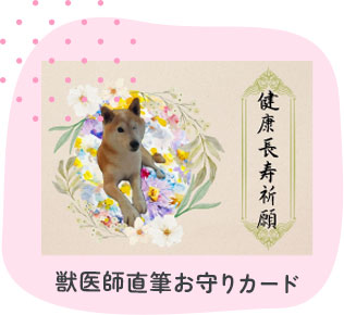 獣医師直筆お守りカード
