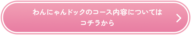 わんにゃんドックのコース内容についてはコチラから