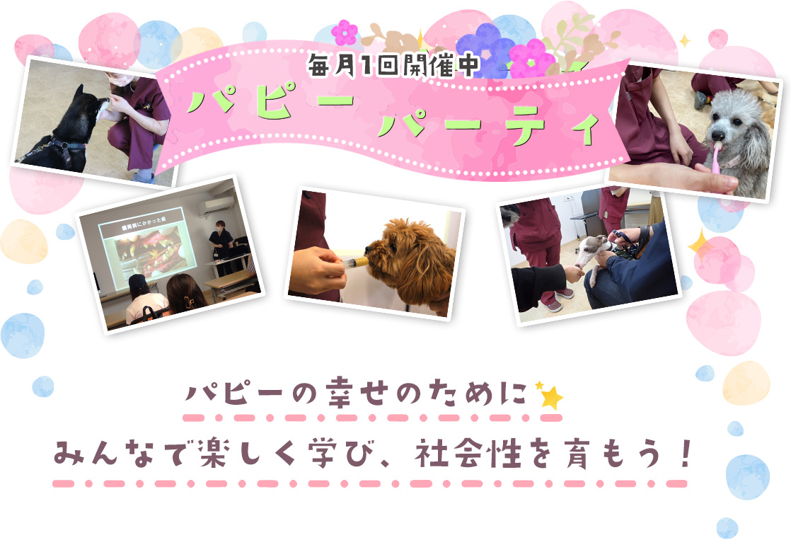 毎月1回開催中　パピーパーティ