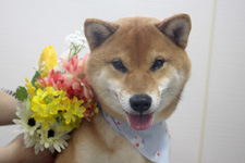 ナギくん