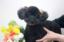 ユズちゃん