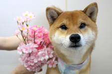 ナギくん