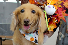 サクタロウくん