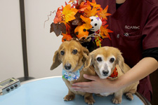 ソラくん、メロちゃん