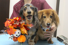 ソラちゃん、レオくん