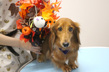 ムータロウくん