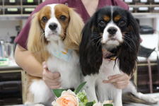 アロくん、プアちゃん