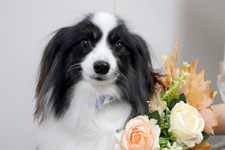 コイタロウくん