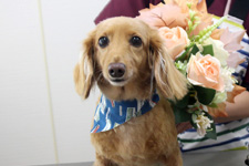 サクタロウくん