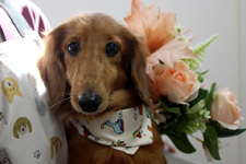 ムータロウくん