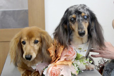 レオくん、ソラちゃん