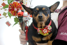 アブリンちゃん