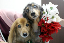 レオくん、ソラちゃん