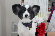 コイタロウくん