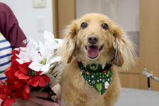 サクタロウくん