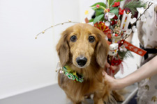 ムータロウくん