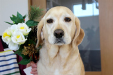 アーロンちゃん