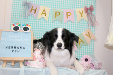 エルマーナちゃん