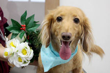 サクタロウくん