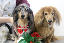 ソラちゃん、レオくん