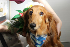 ムータロウくん