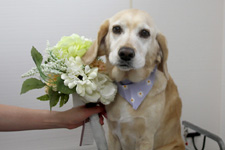 アーロンちゃん