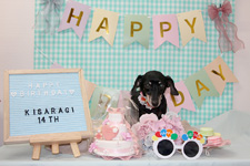 キサラギちゃん