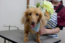 サクタロウくん