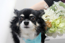 ジュウベイくん