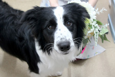 ソフィアちゃん