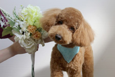 テヌーダイくんトくん