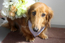 ムータロウくん