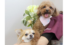 ラックちゃん、レアちゃん