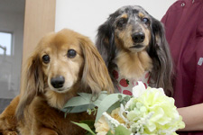 レオくん、ソラちゃん